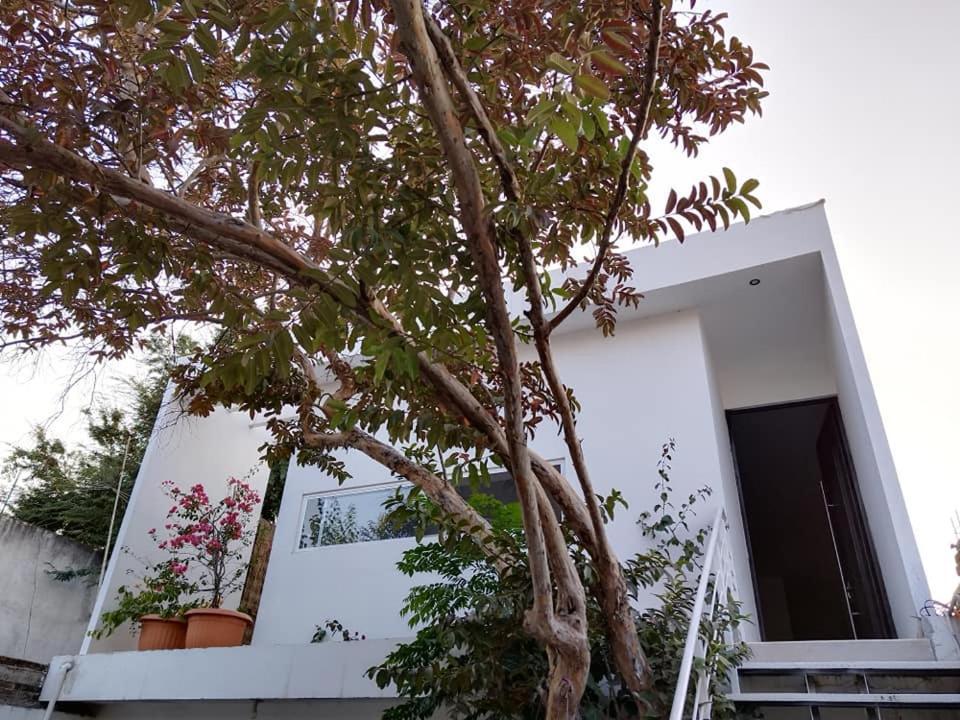 Casa Mango 3 Amplio Departamento Villa Rio Verde Exterior photo